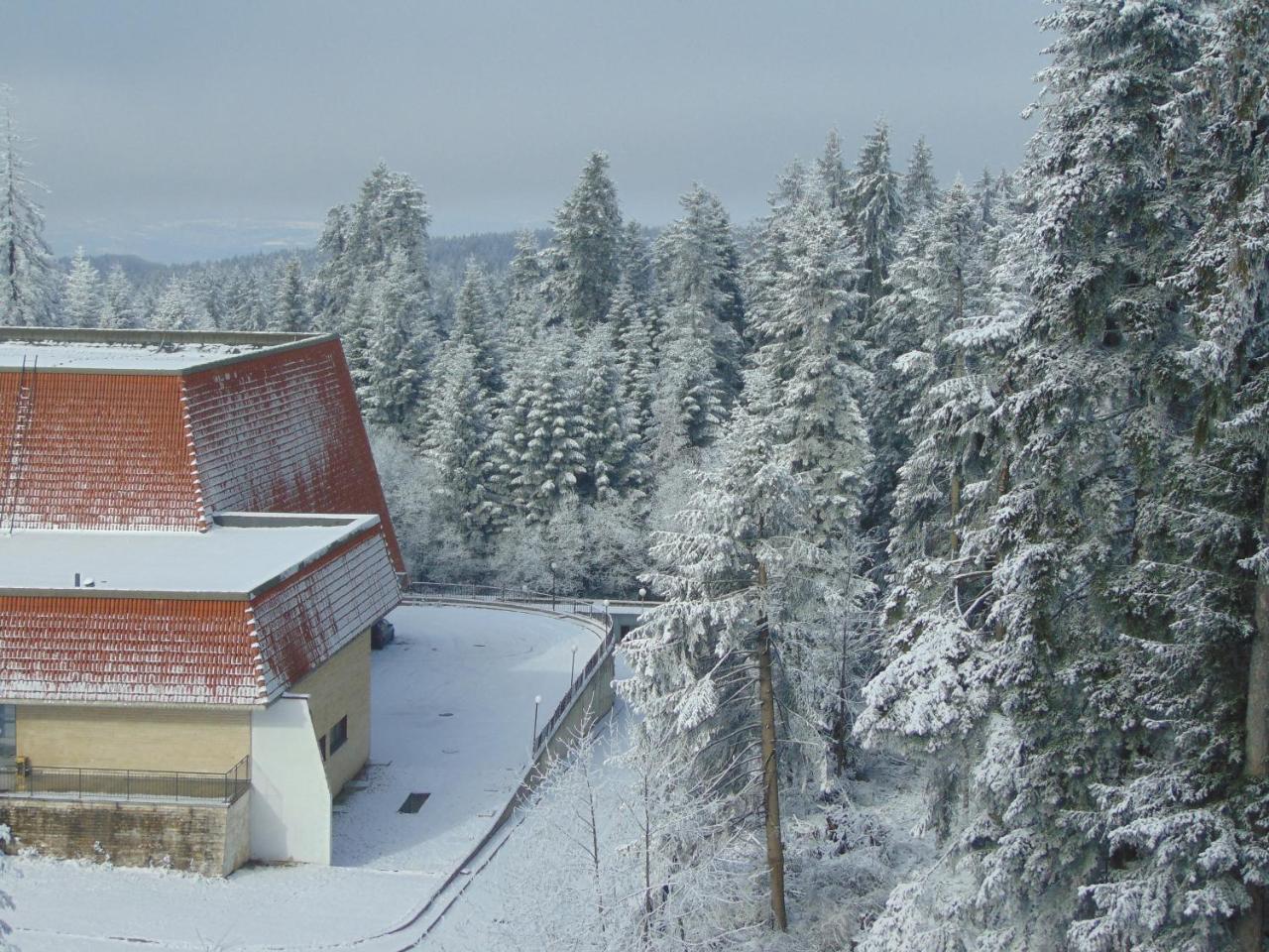 Ski Apartment Boyika Iglika 2 Borovets Eksteriør billede